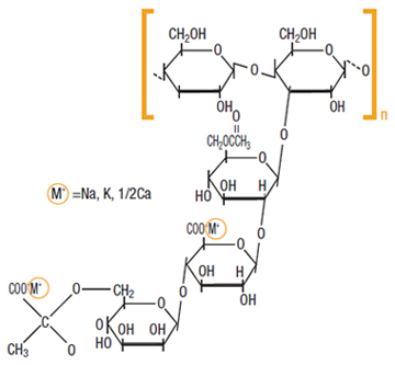 Structure of Xanthan Gum Structure of Xanthan Gum