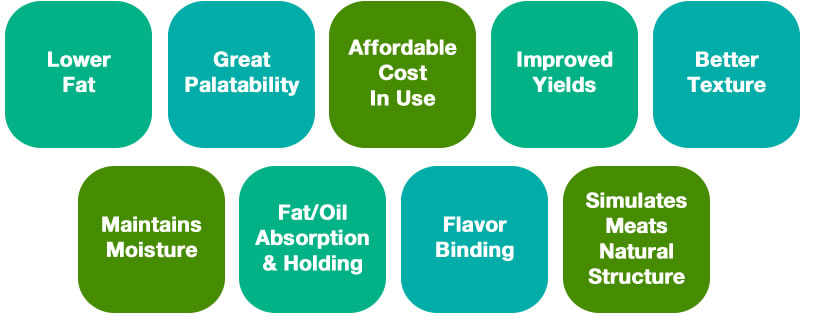 Benefits of Prosante Soy Flour Benefits of Prosante Soy Flour