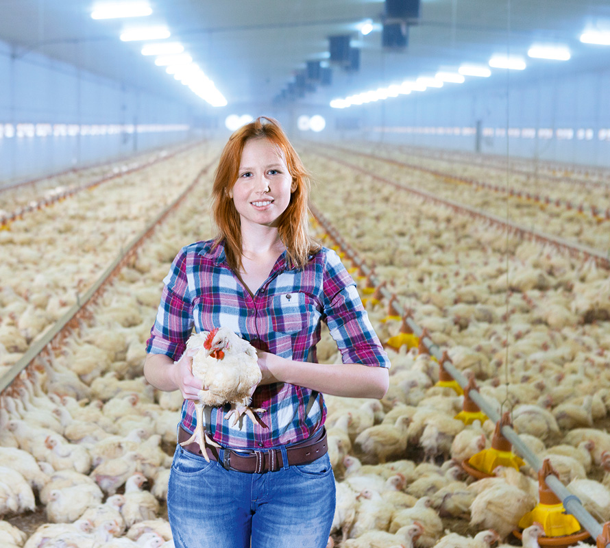 inpage-poultry-woman-holding-chickens inpage-poultry-woman-holding-chickens