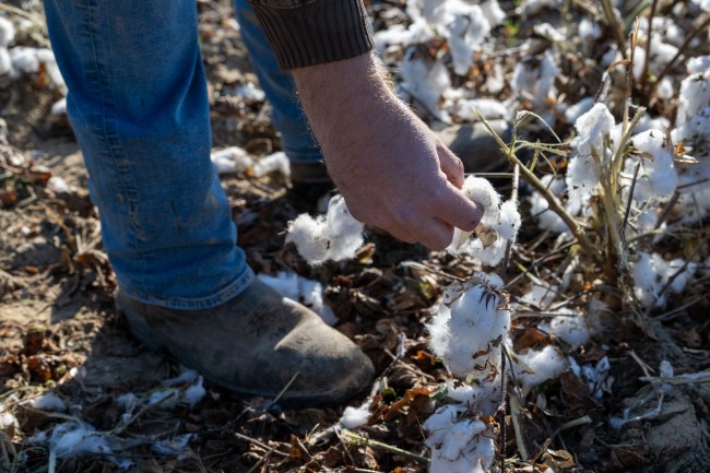 preview sustain cotton banner preview sustain cotton banner