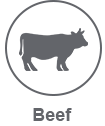 beef light icon