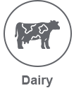 dairy light icon dairy light icon