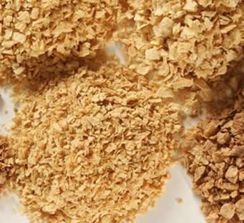 Prosante is a Sustainable Vegetable Protein Prosante is a Sustainable Vegetable Protein