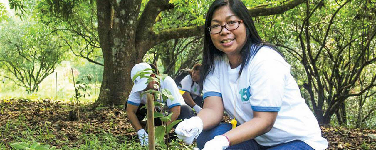 People planting trees