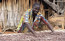 best cocoa beans  best cocoa beans