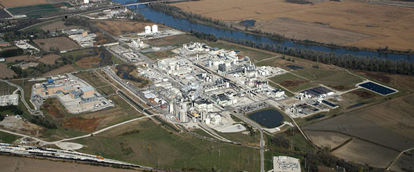 Aerial view of a plant Aerial view of a plant