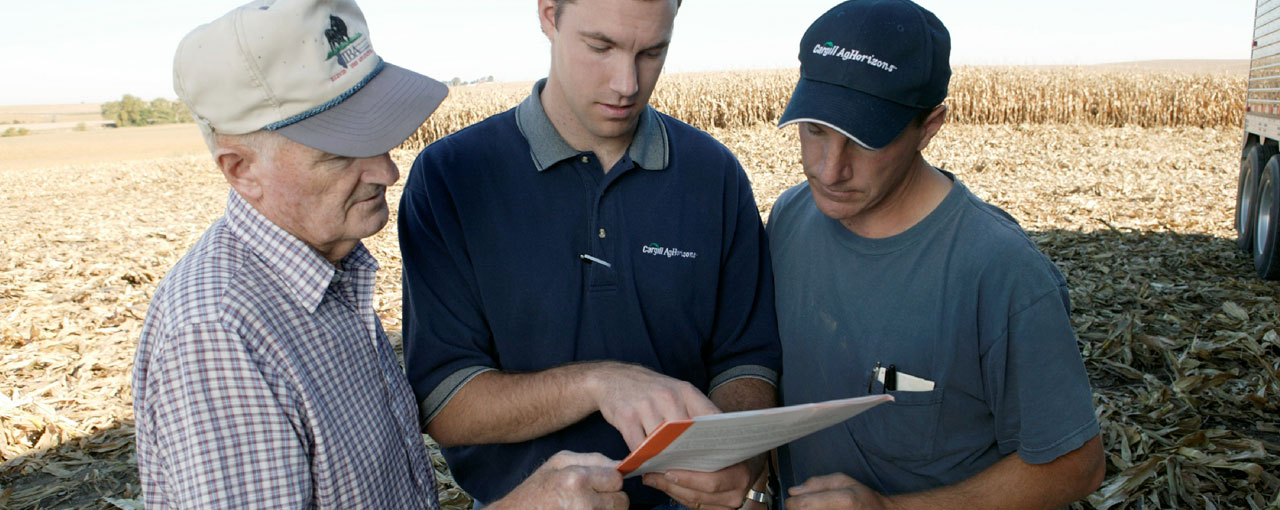 Three farmers standing in a field