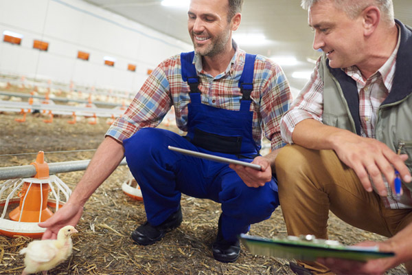 Animal welfare inpage Animal welfare inpage