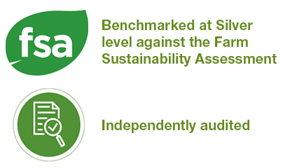 Cereal Sweeteners Cereal Sweeteners