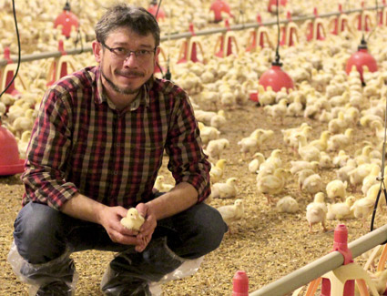 Feed safety Feed safety