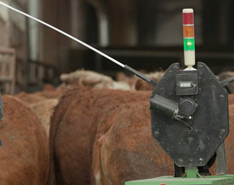 Meet the robot Meet the robot