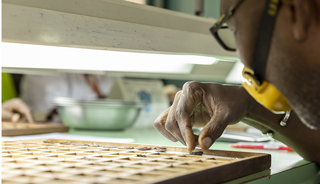 Man reviewing cocoa Man reviewing cocoa