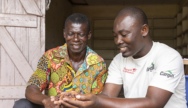 2 males sorting through cocoa beans 2 males sorting through cocoa beans