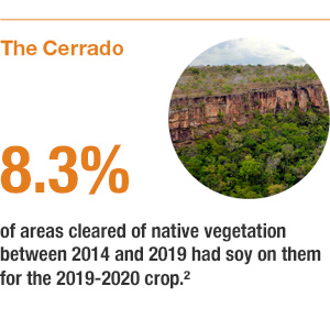 Cerrado soy fields Cerrado soy fields