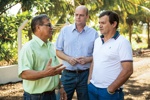 Forests in South America