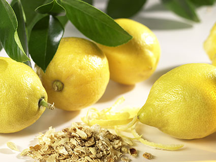 Our new Brazilian pectin plant - lemons Our new Brazilian pectin plant - lemons