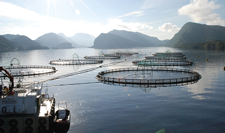 image of fisheries image of fisheries