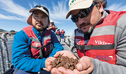 people looking at food image people looking at food image