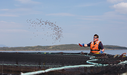 man on a fisherie image man on a fisherie image