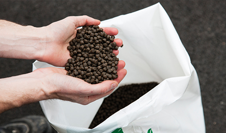 fish feed image fish feed image