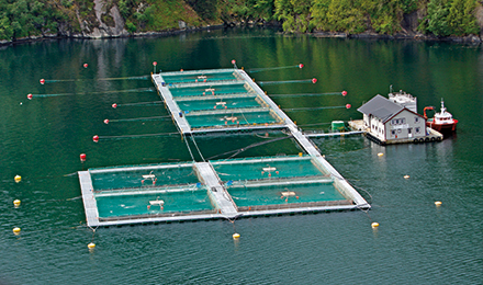 fisheries in water image fisheries in water image