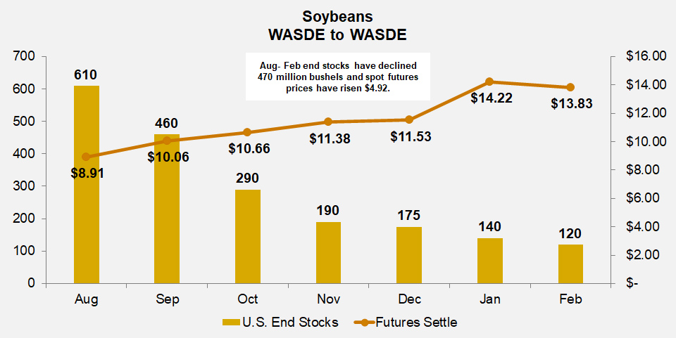 Soybeans Supercycle Article