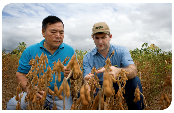 Triple S Soy flyer image Triple S Soy flyer image