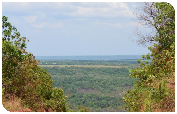 Smart Soy flyer image Smart Soy flyer image