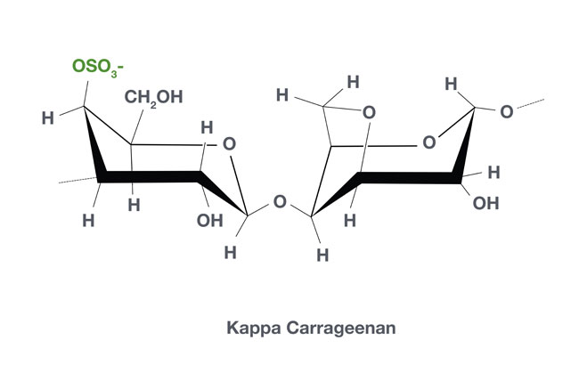 Cargill beauty news launch satiagel kappa carrageenan Cargill beauty news launch satiagel kappa carrageenan