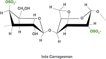 Cargill beauty news launch satiagel lota carrageenan Cargill beauty news launch satiagel lota carrageenan