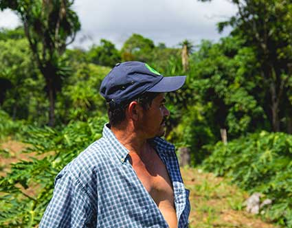 We are no longer subsistence producers Image-inbody We are no longer subsistence producers Image-inbody