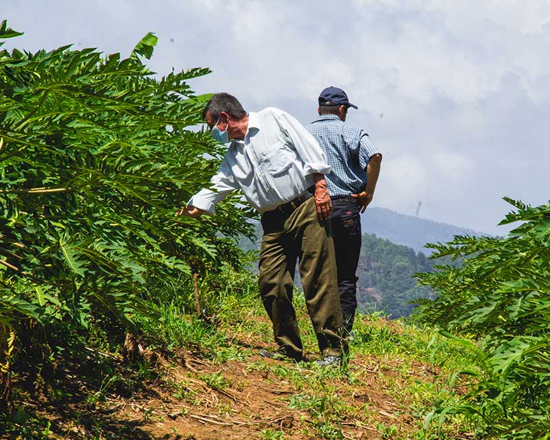 We are no longer subsistence producers Image-inbody We are no longer subsistence producers Image-inbody