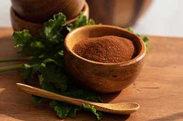 EpiCor Postbiotic Supplement Ingredient EpiCor Postbiotic Supplement Ingredient