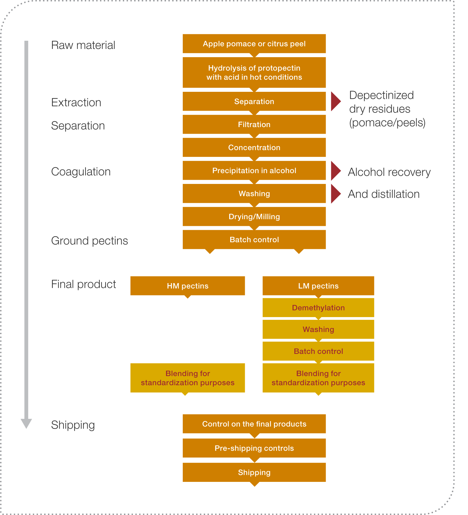 Manufacturing process flow chart pectin Manufacturing process flow chart pectin