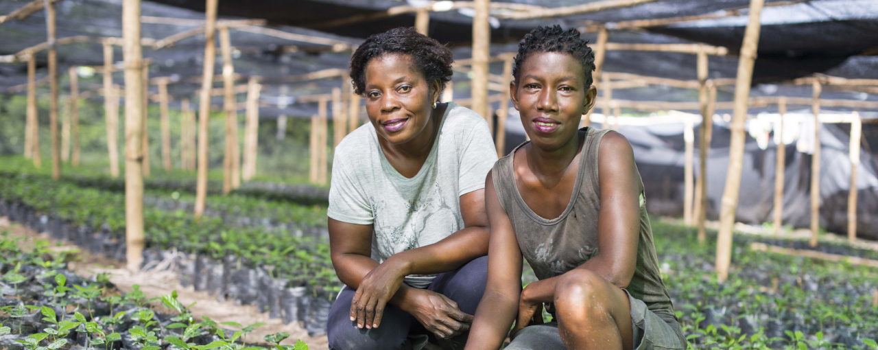 Sustainable Cocoa - Our Impact - Protect Our Planet - Carbon Footprint