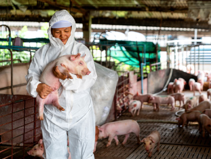 Man hugging a pig image Man hugging a pig image