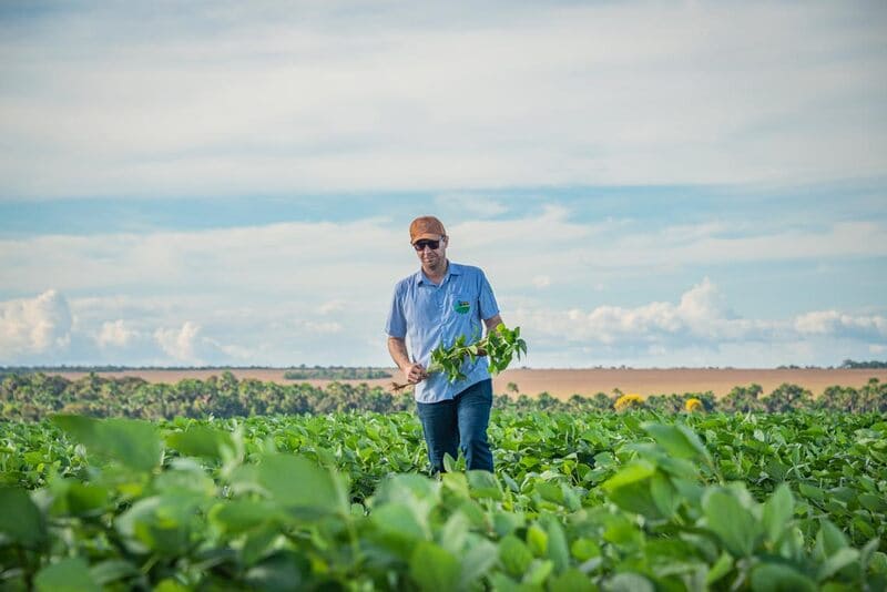 farmer looking at the crops image farmer looking at the crops image