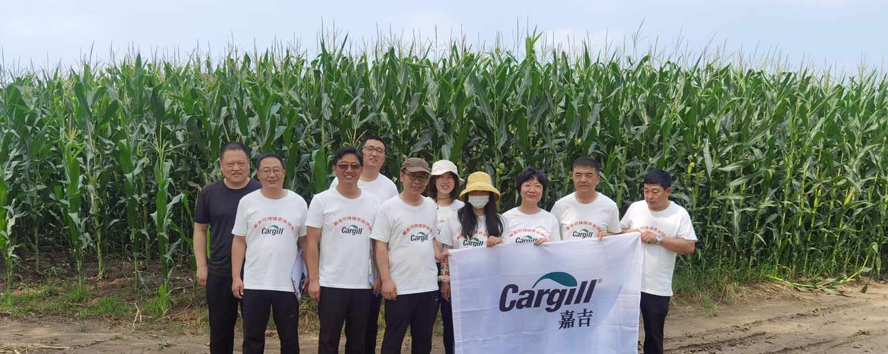 Making corn farming in China image