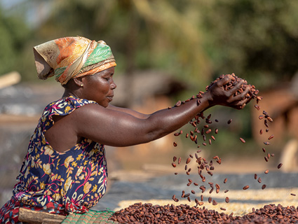 Woman cocoa farmer image Woman cocoa farmer image