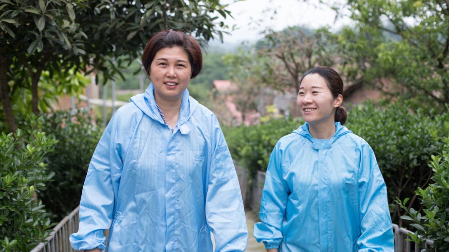 hog farmer trainers image hog farmer trainers image