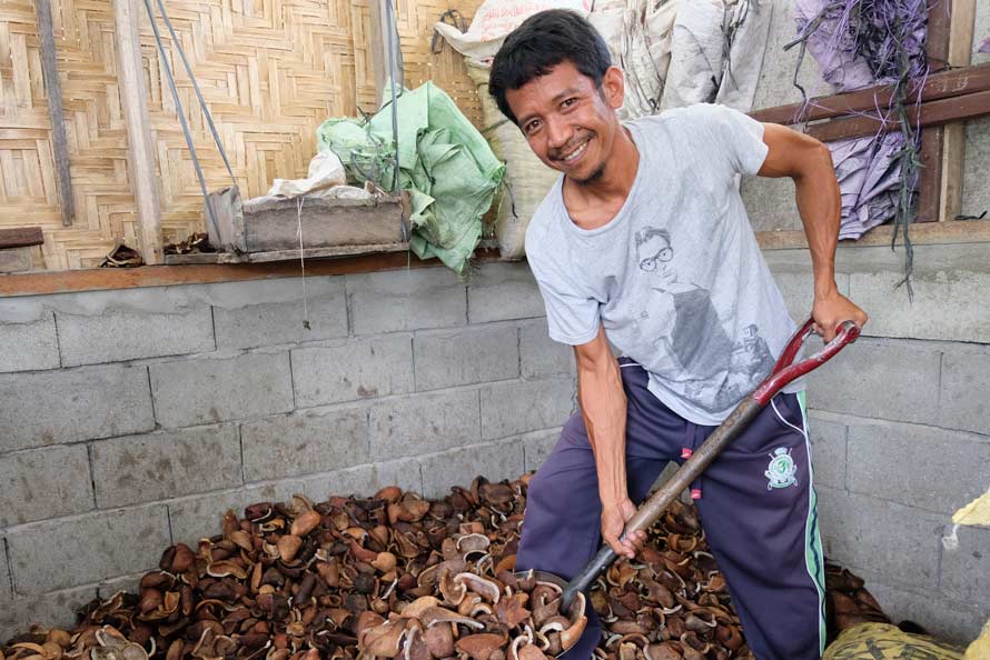 man shoveling coconuts image man shoveling coconuts image