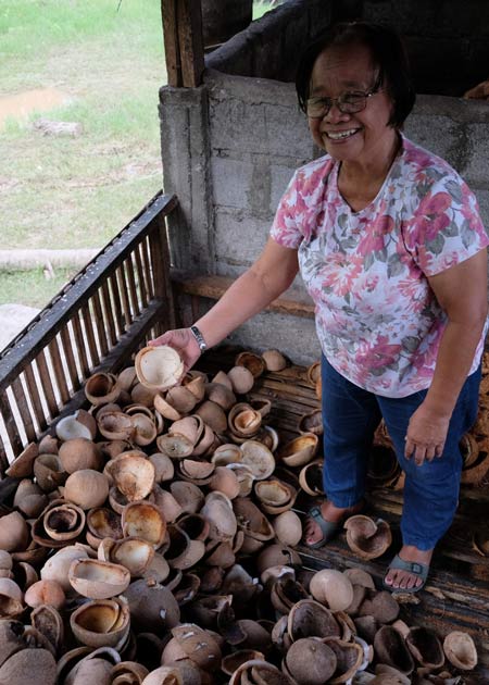 woman shoveling coconuts image woman shoveling coconuts image
