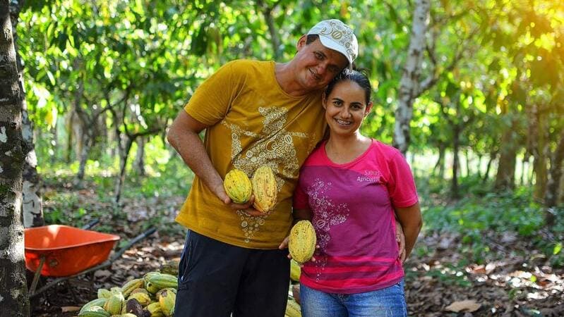 cocoa farmers   cocoa farmers