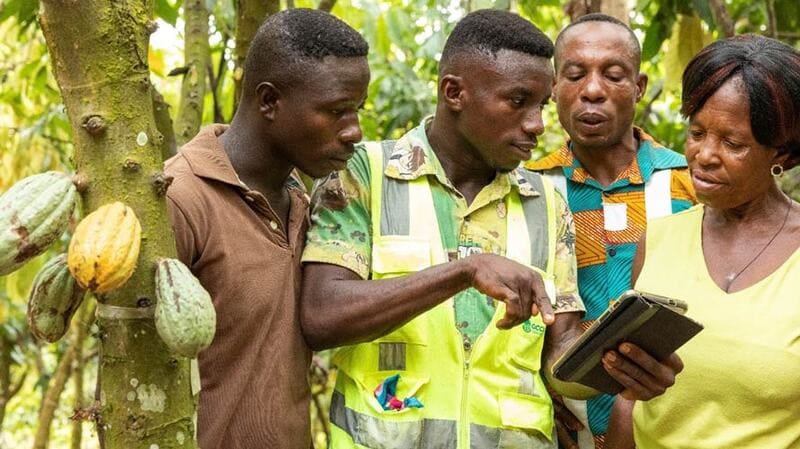 three men and a woman looking at mobile phone three men and a woman looking at mobile phone