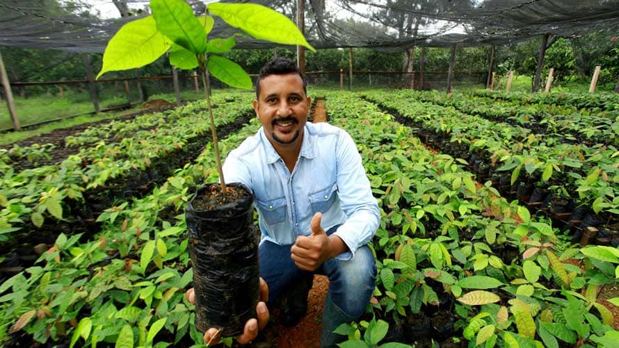 a man holding a small cocoa tree a man holding a small cocoa tree