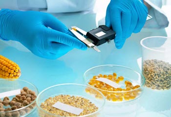 Food Technology Transformation | Sugar Reduction - Bulk Supplier in North America Food Technology Transformation | Sugar Reduction - Bulk Supplier in North America