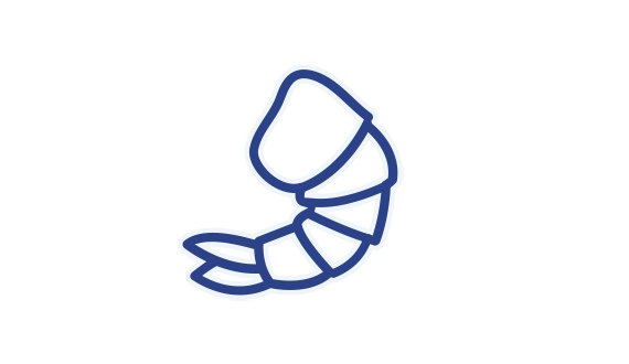 Shrimp outlined icon