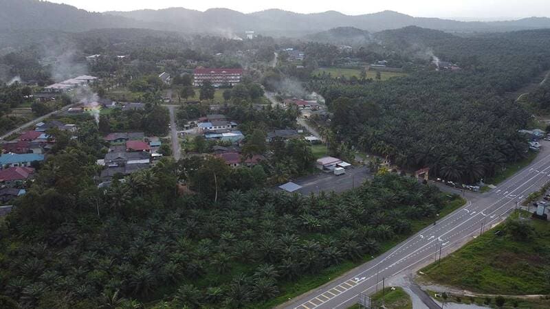 The South Central Forest Spine in Malaysia 
