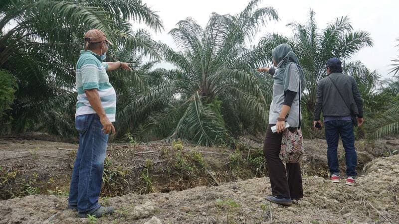 Training the local farmers and plantation owners to improve farm management practices.