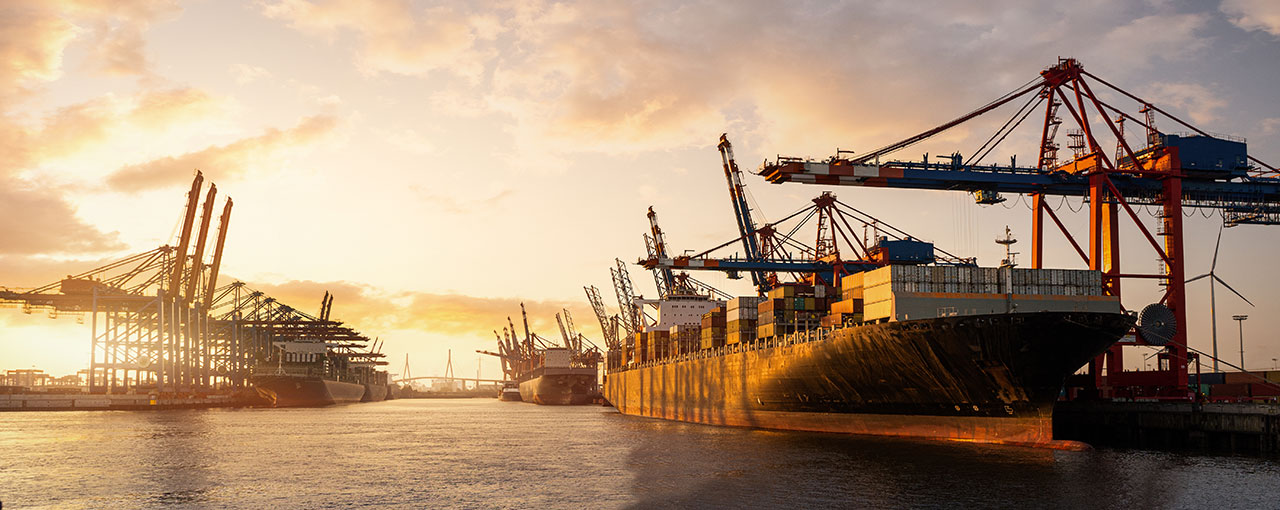 Sustainability in Production and Supply Chain